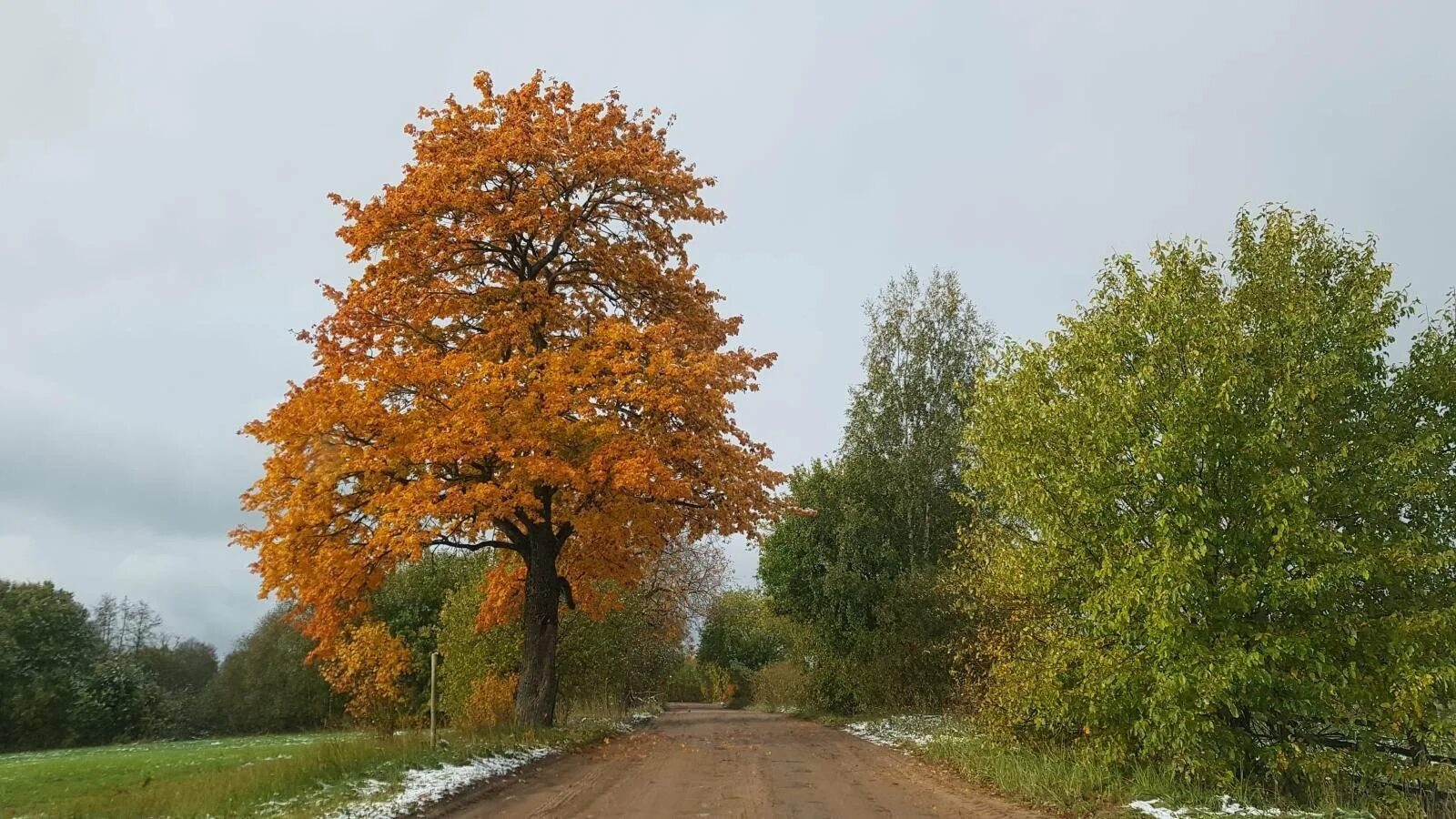 Село клен