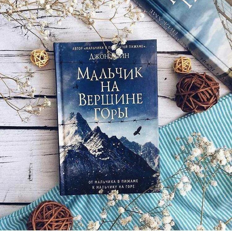 Джон бойн книги отзывы. Джон Бойн мальчик на вершине горы. Мальчик на вершине горы книга. На вершине горы книга мальчик книга. Обложка книги Бойн мальчик на вершине горы.