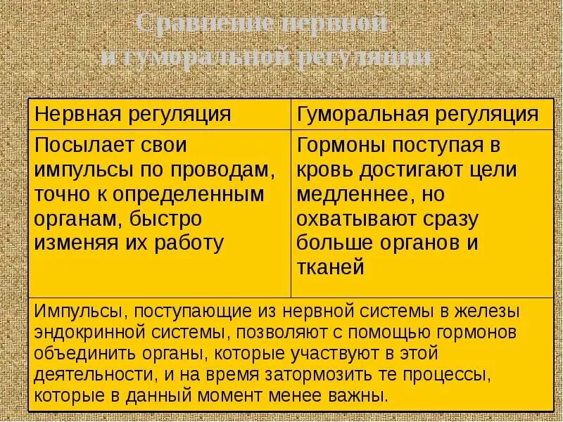 Почему нельзя разделить нервную и гуморальную регуляцию