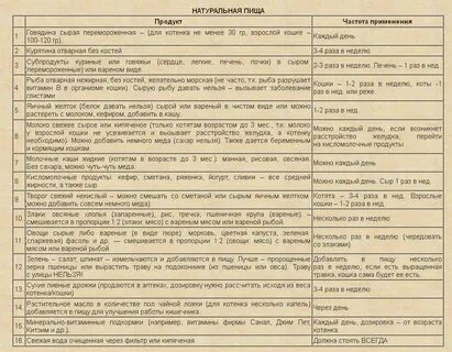 Сколько раз кормить месячного котенка в день