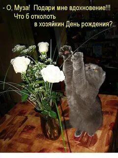 Даже 24