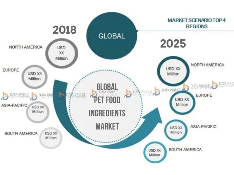 Top regions. Global marketing Management. Market Size фотография. Global Labels Market. Europe Pet Market.