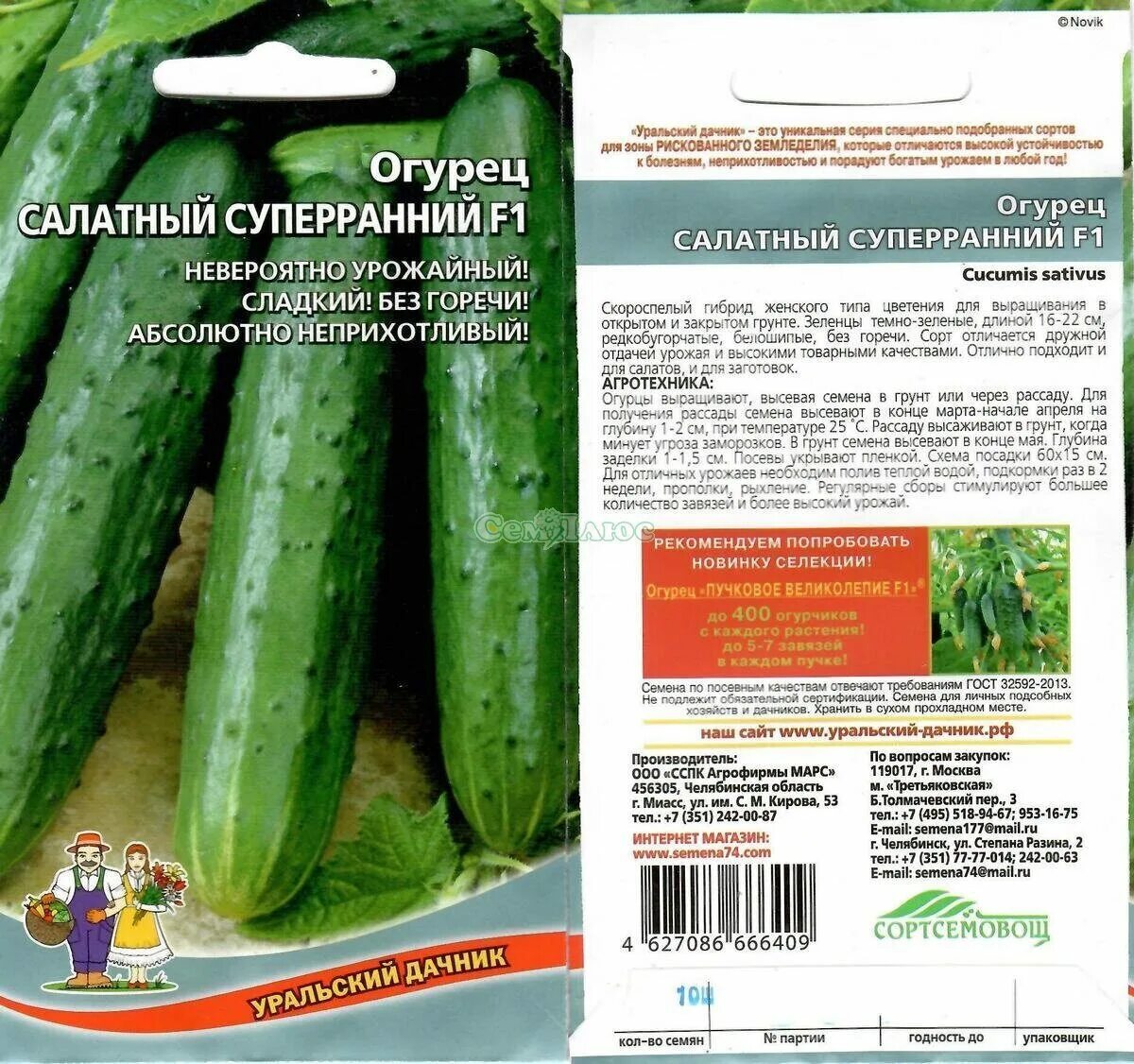 Огурцы салатные сорта. Огурец салатный отзывы. Огурцы салатные сорта. Московский салатный огурец описание. Салатные огурцы.