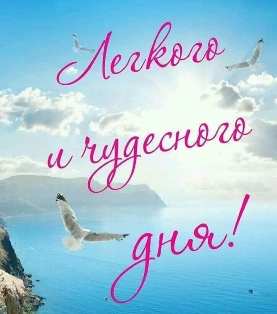 Доброго дня и хорошего настроения море