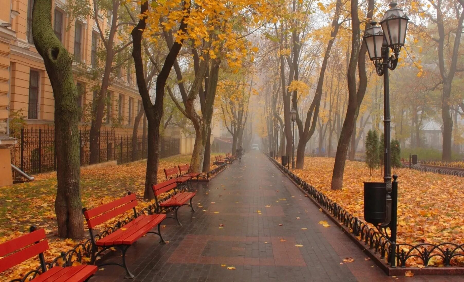File:Rays of autumn light in Toronto.jpg - Wikimedia Commons