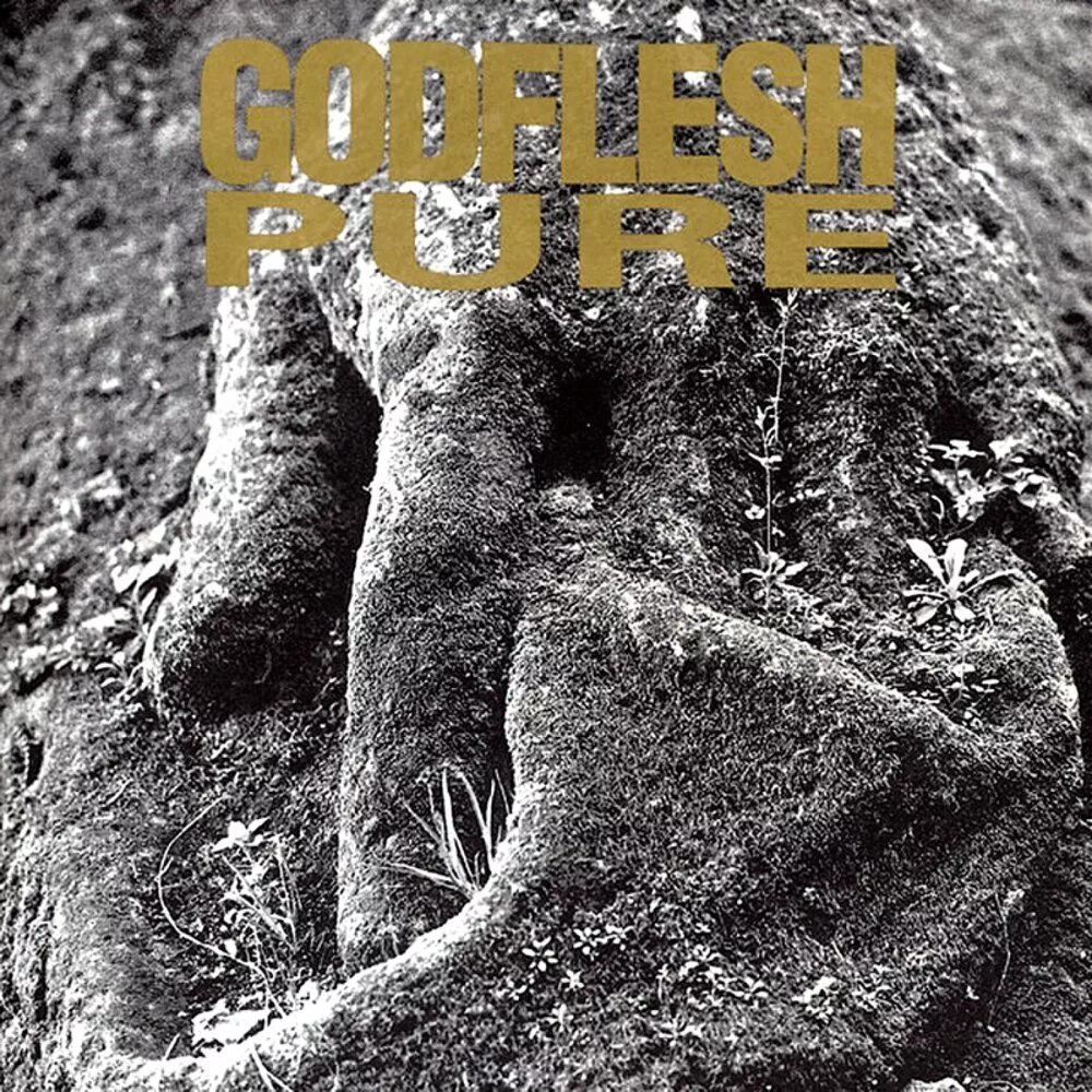 Godflesh. Godflesh Pure 1992. Godflesh группа. Godflesh обложки альбомов. Godflesh 1988.