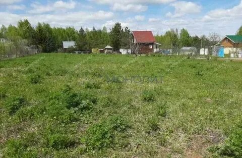 Снт шелухово нижегородская область