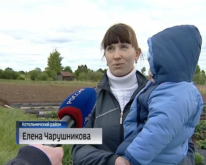 Соц контракт кировская область. Социальный контракт картинки. Социальный контракт 2021. Государственная помощь на основании социального контракта. Социальный контракт для малоимущих в 2021 году.