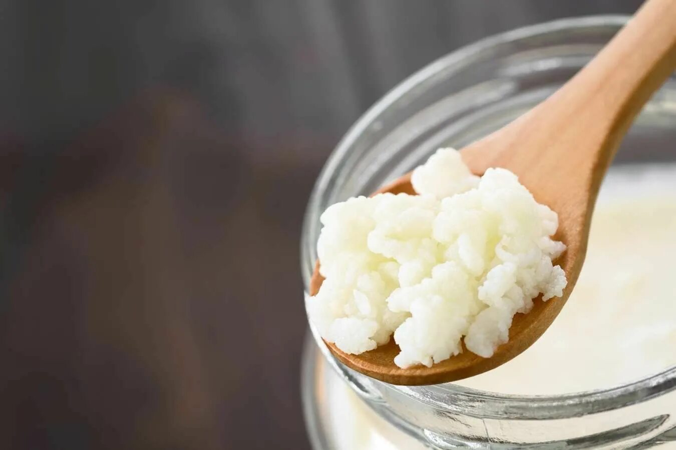 Кефир при метеоризме. Kefir grains. молочный гриб. кефирный гриб для похудения. зерна кефира.