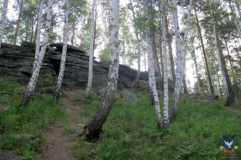 Палкино екатеринбург