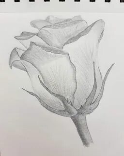 Рисунок карандашом тон