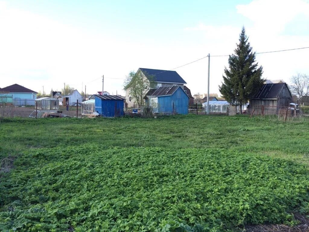 Дачный поселок софрино. Снт вир электроника. Удаловская улица в пушкине. Тярлево ул большая 25. Участки в пушкино спб.