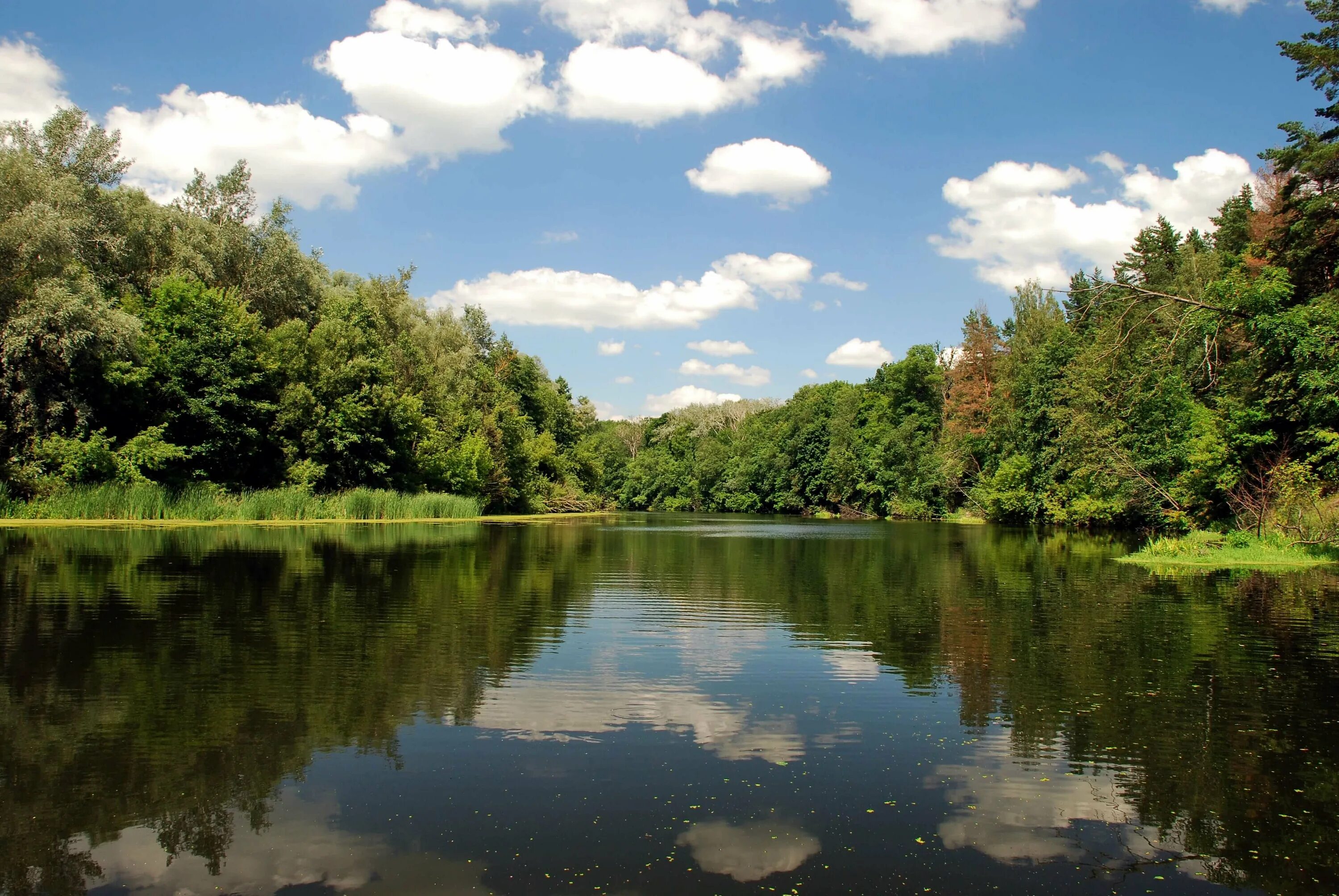 Река псёл в Белгородской области. Река Псел Курская область. Река псёл Сумы. Река Псел Обоянь.