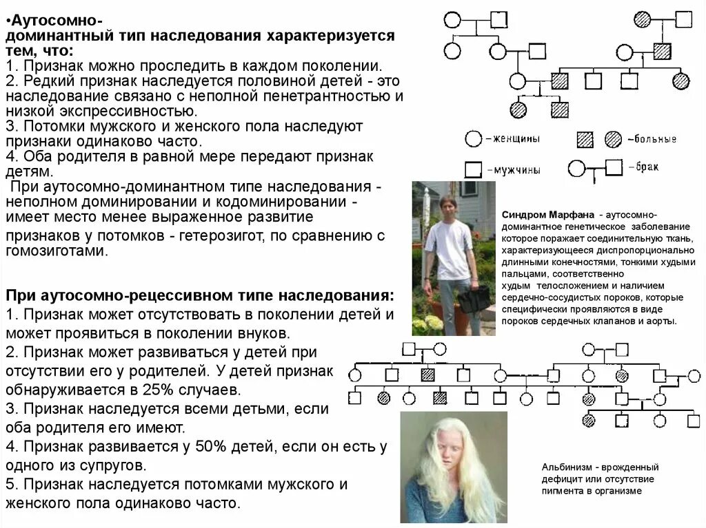 Доминантные наследственные признаки. Аутосомно-доминантный Тип наследования болезни. Аутосомно-рецессивный Тип наследования. Признаки аутосомно-доминантныйт типа наследования. Аутосомный Тип наследования заболевания.