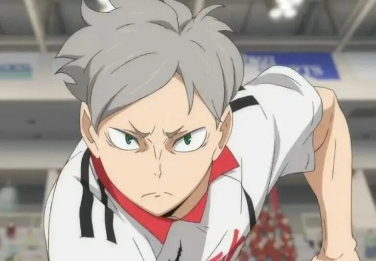 Львы про волейбол. Лев хайба. лев хайба волейбол. haikyuu лев.