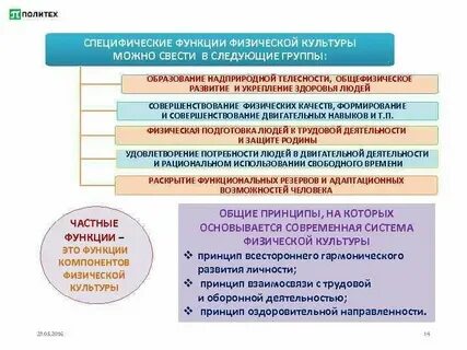 Физическая культура основные понятия и определения