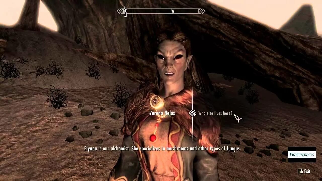Скайрим проблема с управителем. Варона нелас скайрим. skyrim проблема с управителем. ворона скайрим.