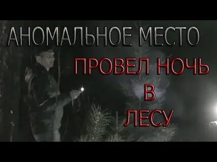 Ночь в лесу выжить