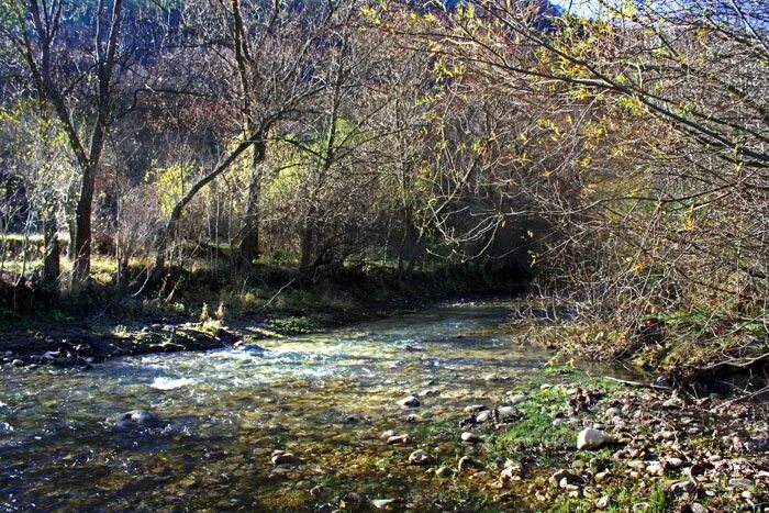 Как бельбек изменяется в разные времена года. Река бельбек в крыму. Крымская речка уровень воды в ней. Как бельбек изменяется в разные времена года. Как бельбек изменяется в разные времена года.