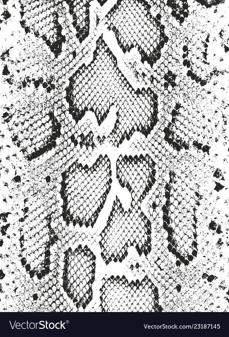 Snake pattern