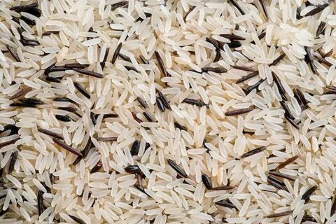 Rice 9
