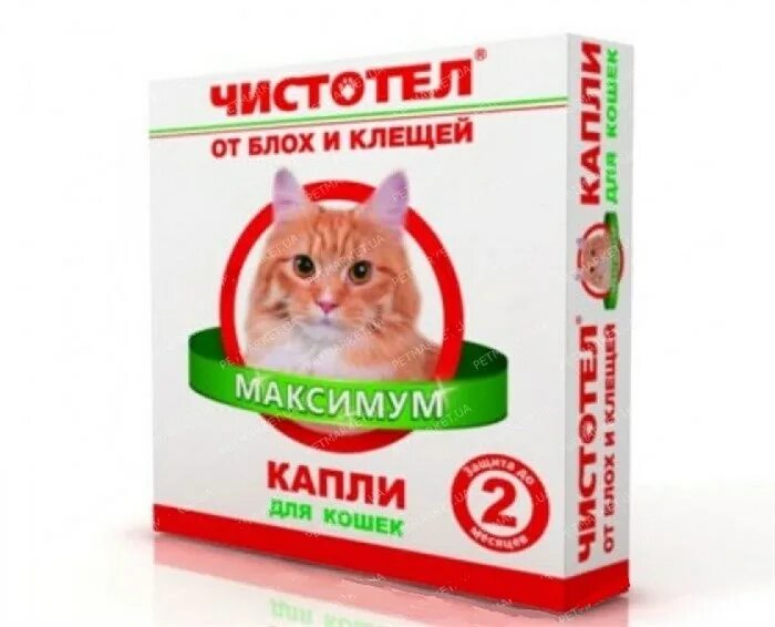 Чистотел капли от блох и клещей максимум для кошек. Чистотел максимум капли для кошек. Ошейник чистотел для кошек. Чистотел био капли от блох для кошек.