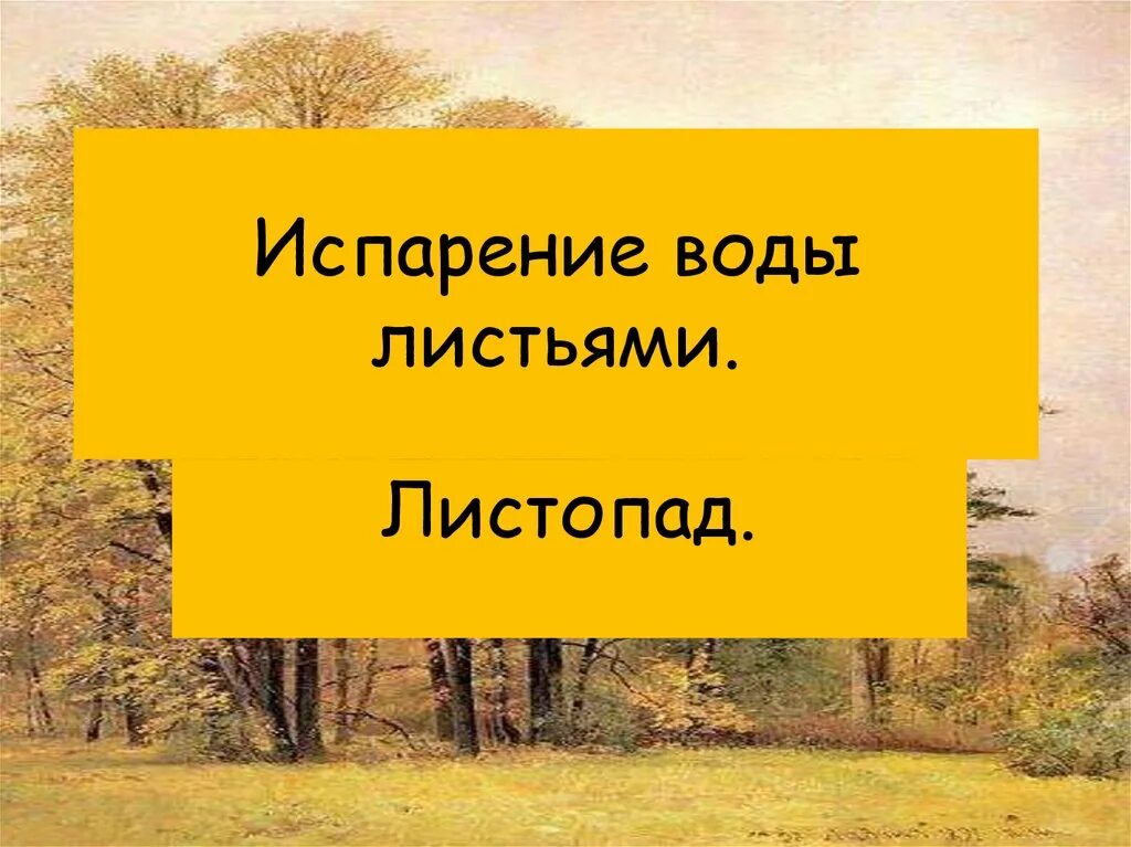 Испарение воды растениями листопад 6 класс. Испарение воды листьями листопад. Испарение воды растениями листопад 6 класс презентация. Биология 6 класс испарение воды листьями листопад. Испарение воды растениями 6 класс кратко