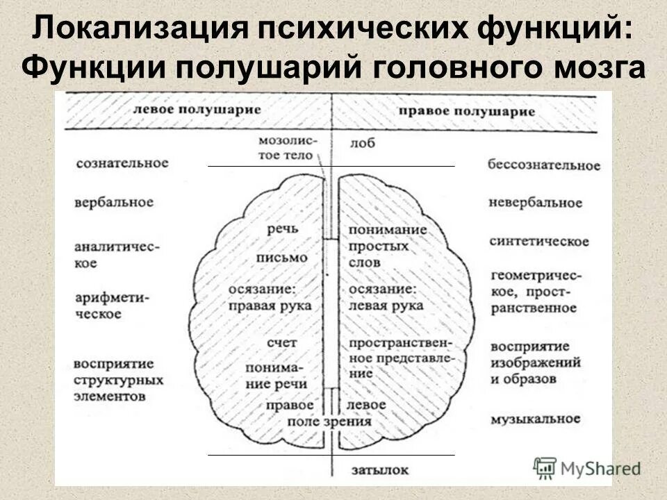 Функциональные состояния головного мозга. Модальность высших психических функций схема. Межполушарная функциональная асимметрия таблица. Высшие психические функции человека. Отделы полушария головного мозга.