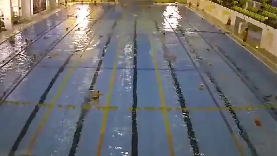 Веб камера бассейн сатурн. Камера в бассейне. Трансляция бассейнов. Камера в бассейне Адмирала.