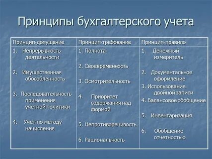 К программам бухгалтерского учета относятся