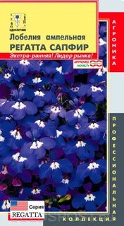 Лобелия регата сапфир отзывы