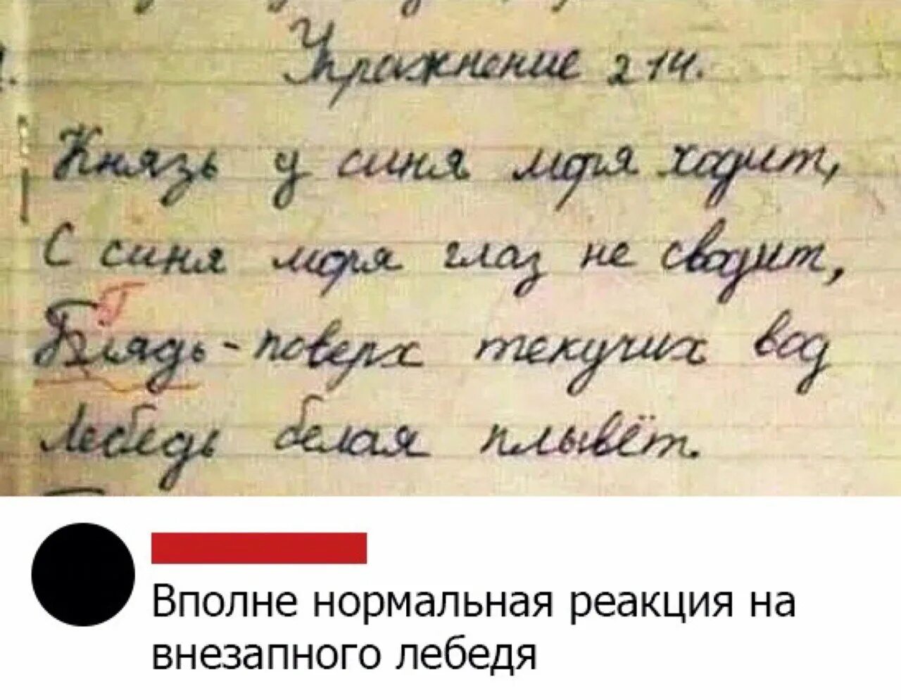 Смешные ошибки в сочинениях. Детские сочинения смешные. смешные сочинения детей. смешные сочинение тетради школьников. смешные школьные сочинения детей.