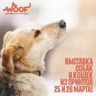 Добропесик интернет магазин