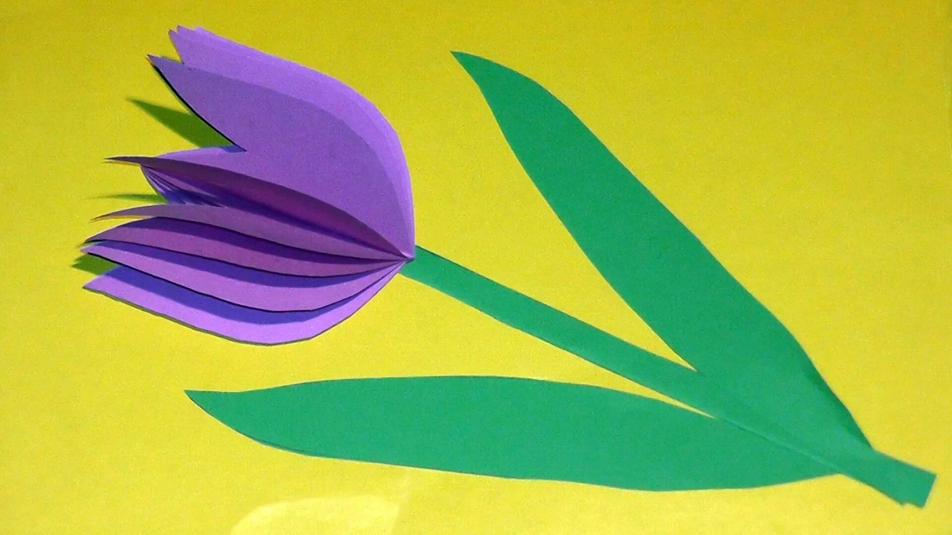 аппликация тюльпаны. объёмная аппликация из бумаги. объемная аппликация тюльпаны. объемные тюльпаны из бумаги. аппликация тюльпаны.