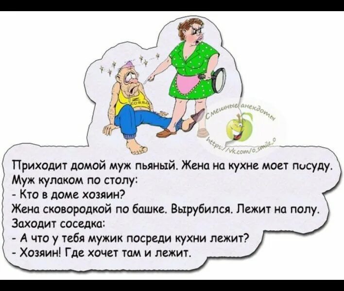 Анекдот лежит. Анекдот. анекдоты хозяев. анекдот про дом. анекдот.муж в доме хозяин.