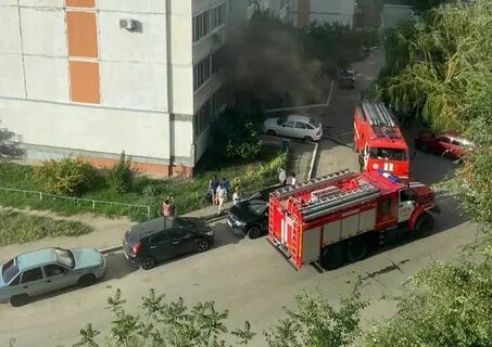 Отбилась от дома