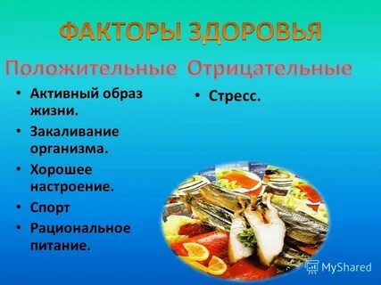 Пути питания