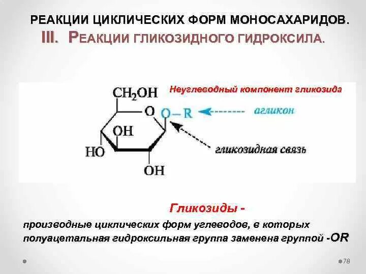 Реакции на гидроксильную группу. Гликозидный гидроксил в циклических формах. Гликозидный гидроксил Глюкозы. Реакции моносахаридов циклической формы. Реакции полуацетальной гидроксильной группы.