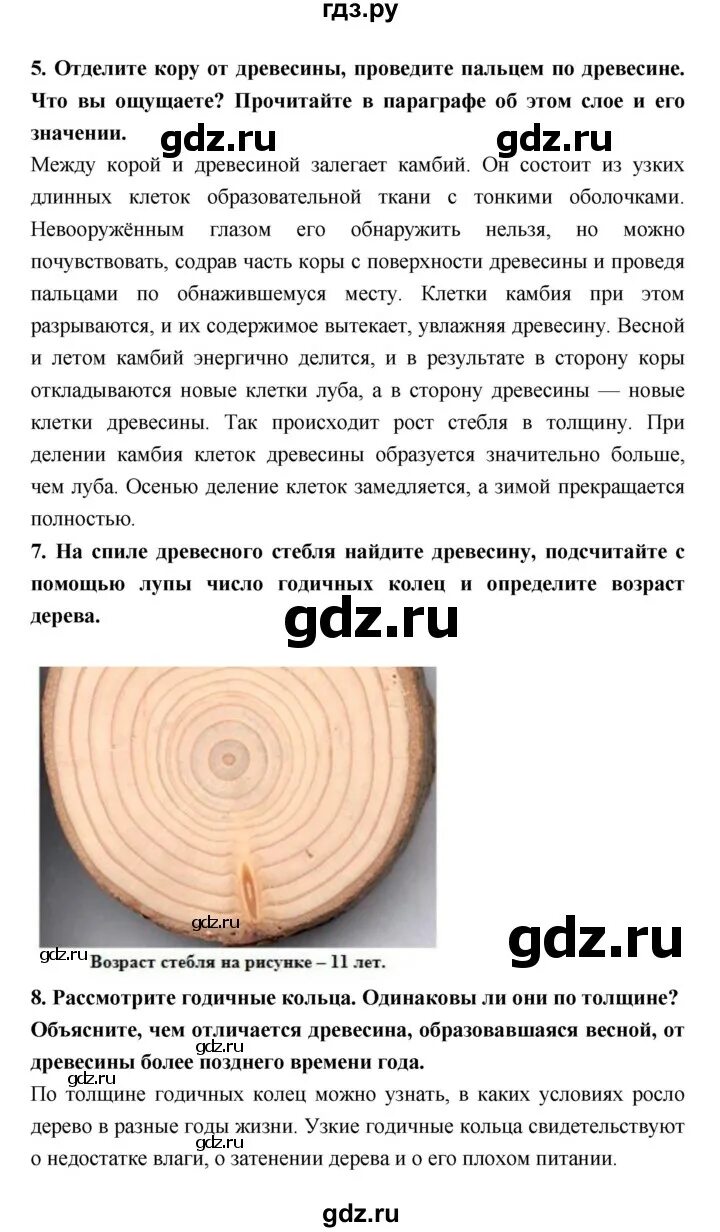 Биология 7 класс пасечник параграф 23. Биология 7 класс пасечник параграф 23