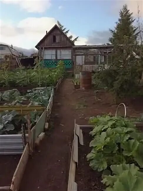 Дачи краснокаменск забайкальского края. Дачи в Краснокаменске на Прогрессе. Краснокаменск дачи. Дачи Южное Краснокаменск. 172 Дача Краснокаменск.