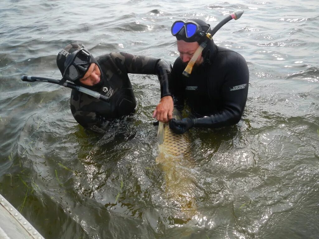 подводный охотник. подводная охота. 5 кг. подвох подводная охота. селиванов владимир белорецк фото.