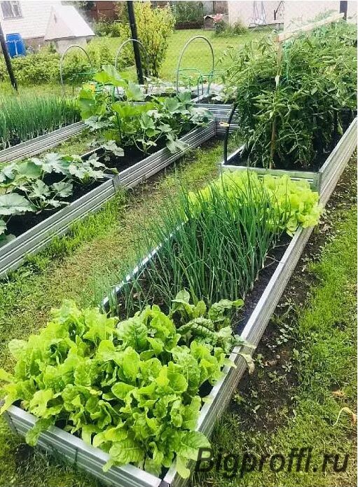 Размеры грядок. Грядка шириной 1 метр. Грядка шириной 1 метр. Грядки оцинкованные. Огород с высокими грядками.