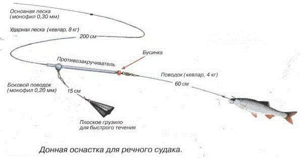 Донная оснастка на судака