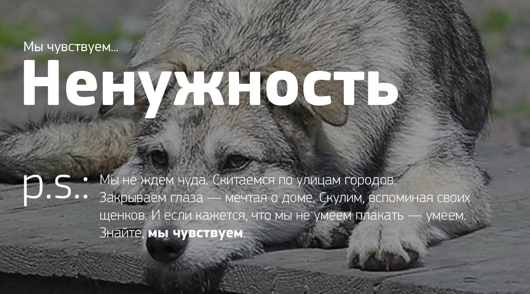 Вы тоже это чувствуете