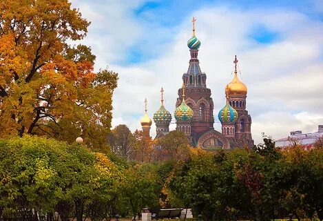 Красивая природа питера