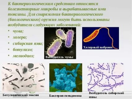 Возбудители бактериологических инфекций