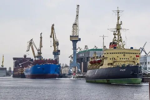 Сибирская балтийская