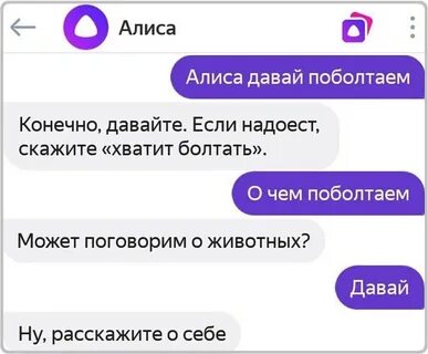 Алиса какая она