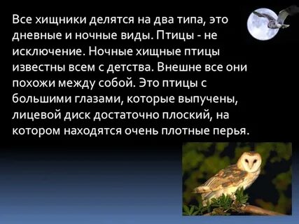 Особенности дневных птиц