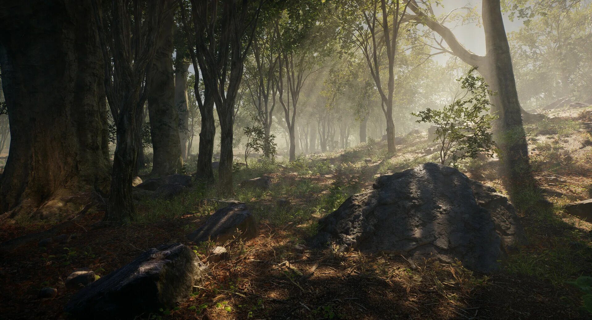 ArtStation - Personal Work Shallow Creek Forest (UE4)